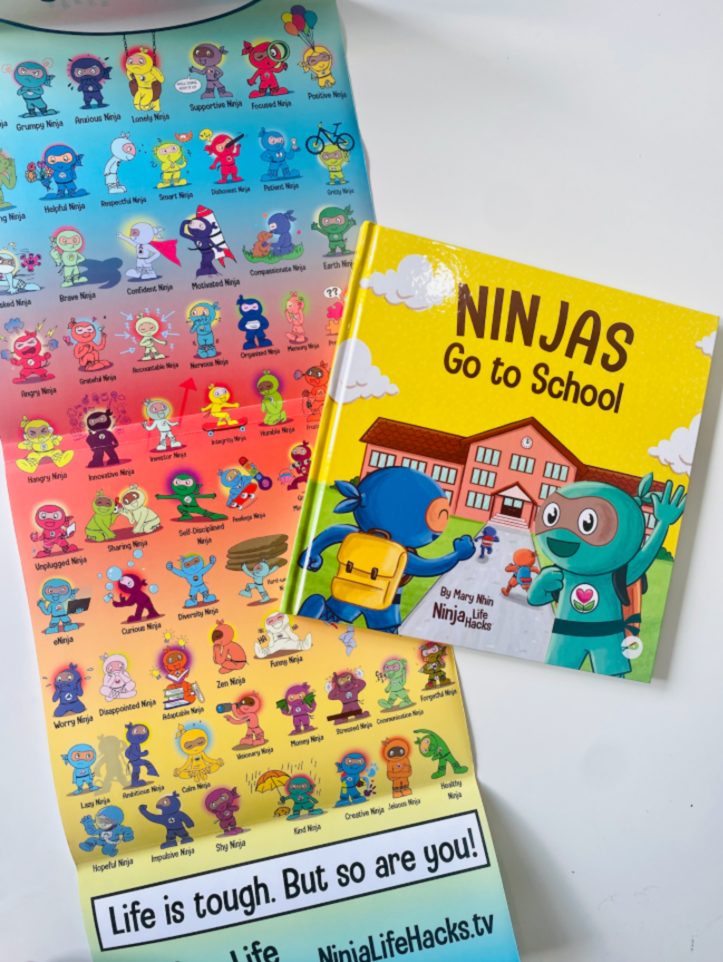 Night of the Ninjas (primary/elementary) Book I